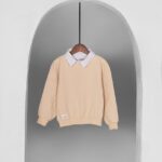 بلوز یقه دار مجلسی بیسکوییتی LUCKY LOOK