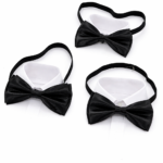 پاپیون مشکی پروانه ای