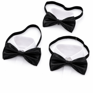 پاپیون مشکی پروانه ای