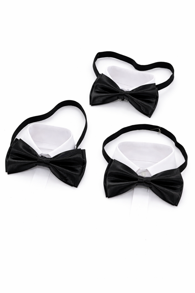 پاپیون مشکی پروانه ای