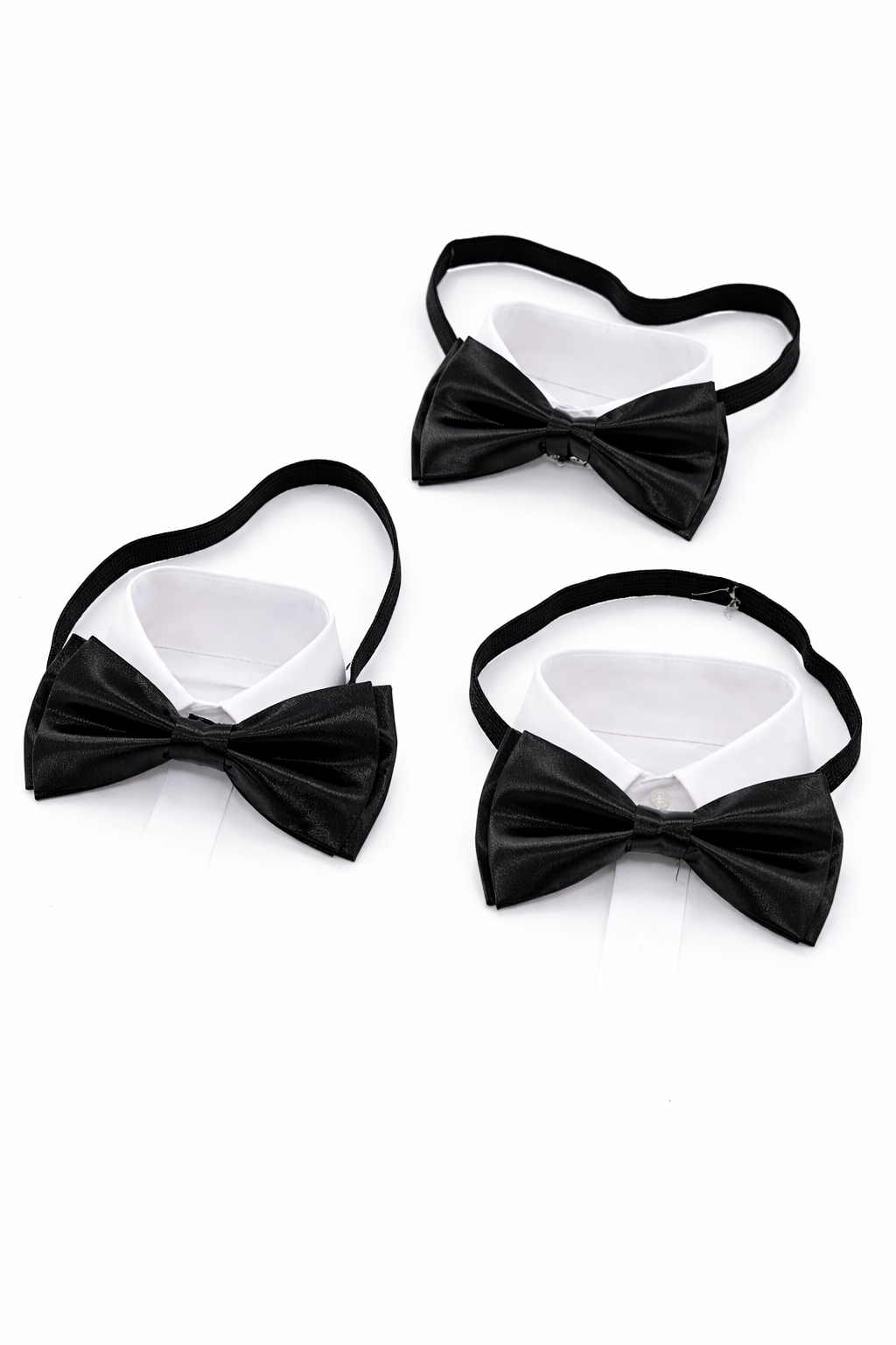 F41397CA-80F7-4E09-98D5-CCA887FCCF7C پاپیون مشکی پروانه ای